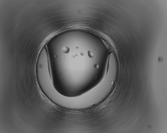 X0000094361338200711241929