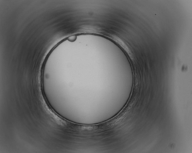 X0000094361339200711241929