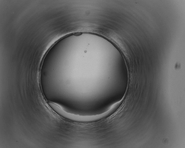 X0000094361340200711241929