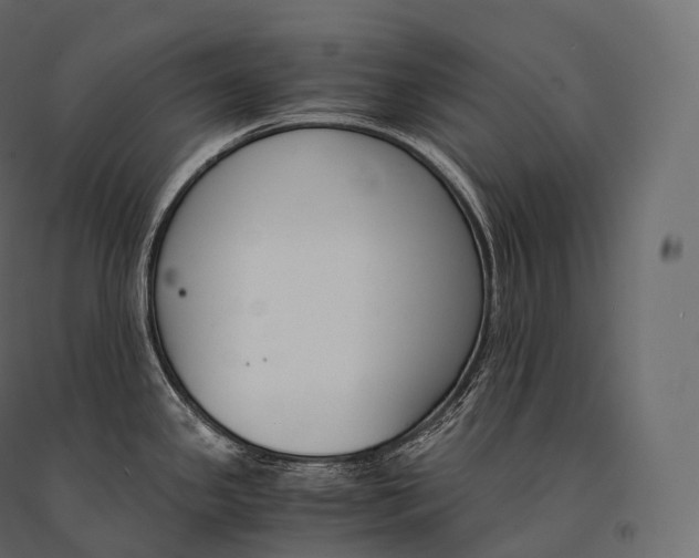 X0000094361341200711241929