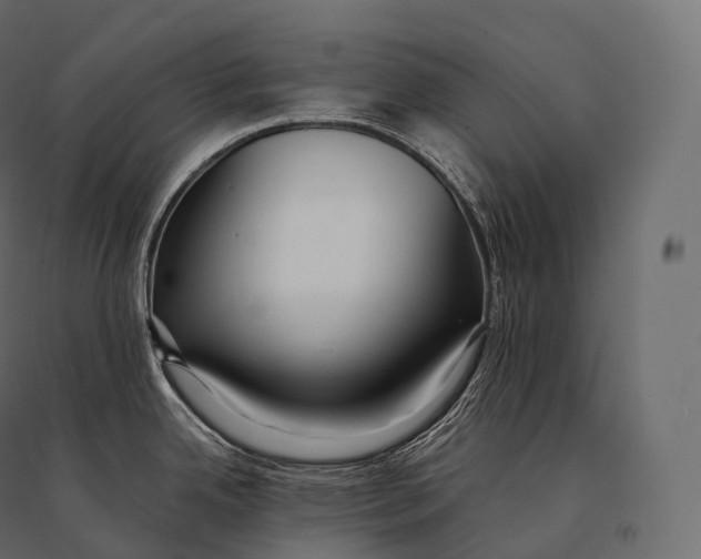 X0000094361342200711241929