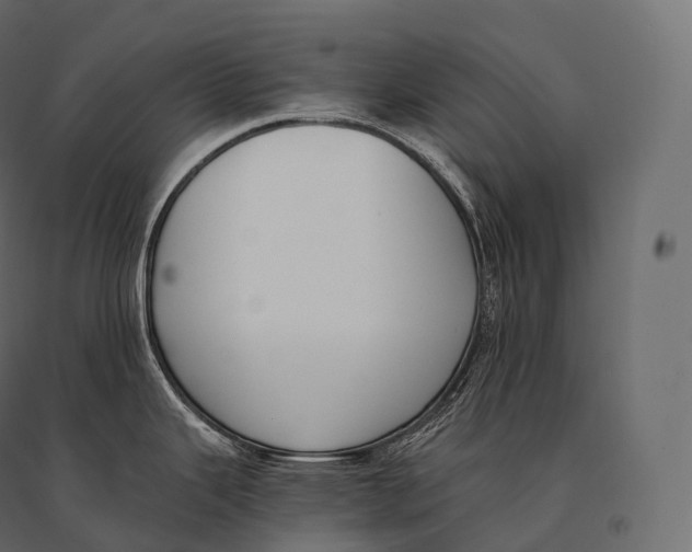 X0000094361343200711241929