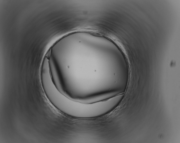 X0000094361344200711241929