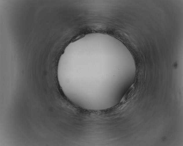 X0000094361345200711241928