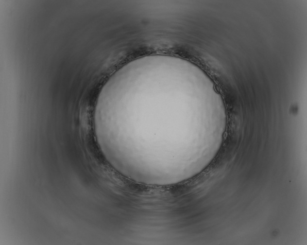 X0000094361346200711241928