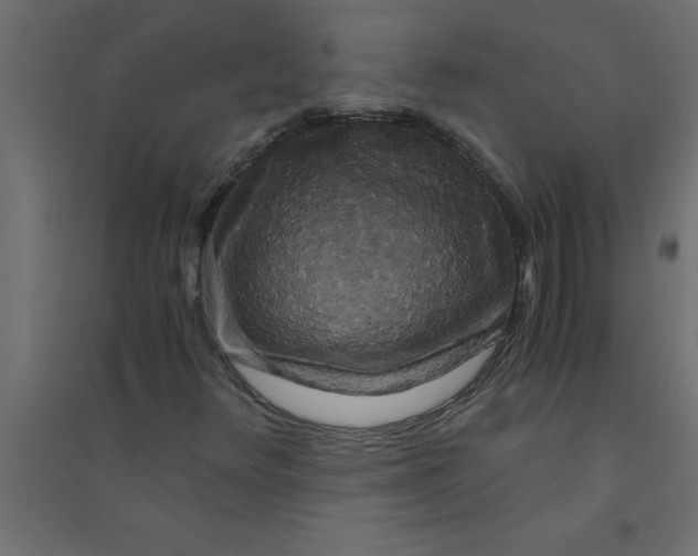 X0000094361348200711241928