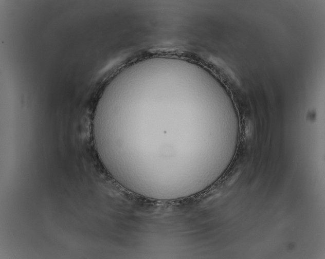 X0000094361350200711241928