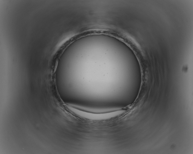 X0000094361352200711241928