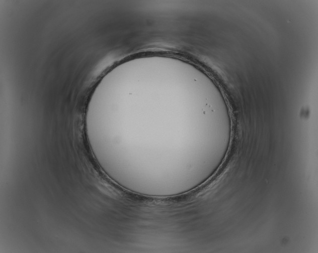 X0000094361355200711241928