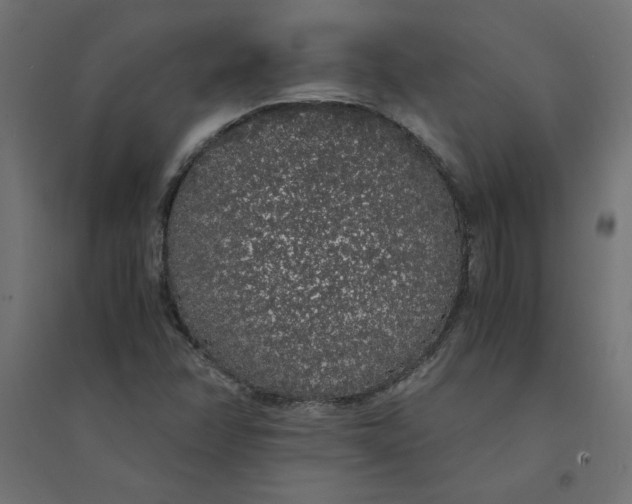 X0000094361358200711241928