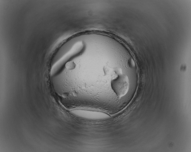 X0000094361359200711241928