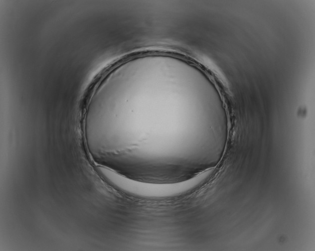 X0000094361360200711241928