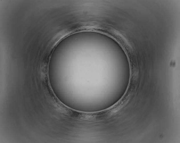 X0000094361361200711241928