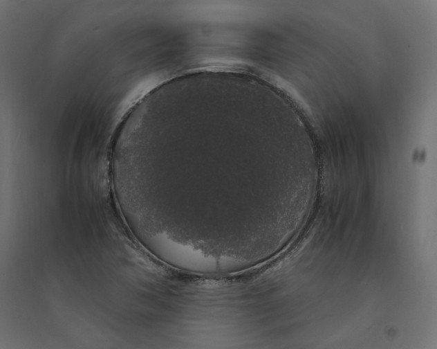 X0000094361362200711241928