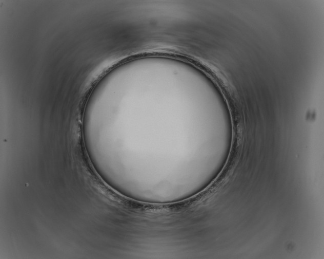 X0000094361363200711241928