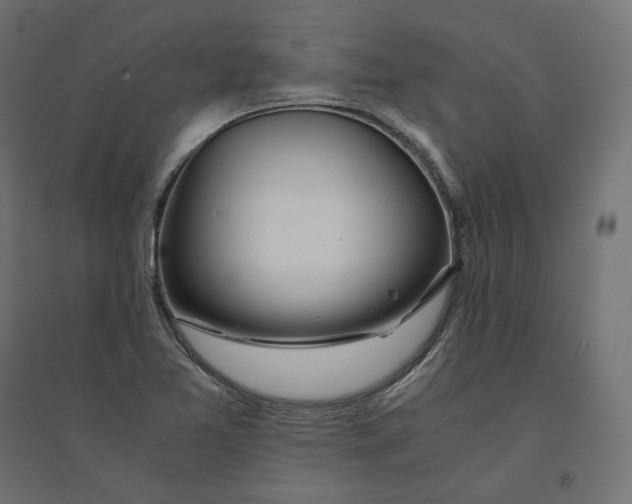 X0000094361365200711241928