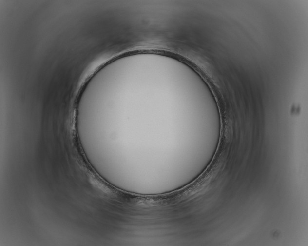 X0000094361366200711241928