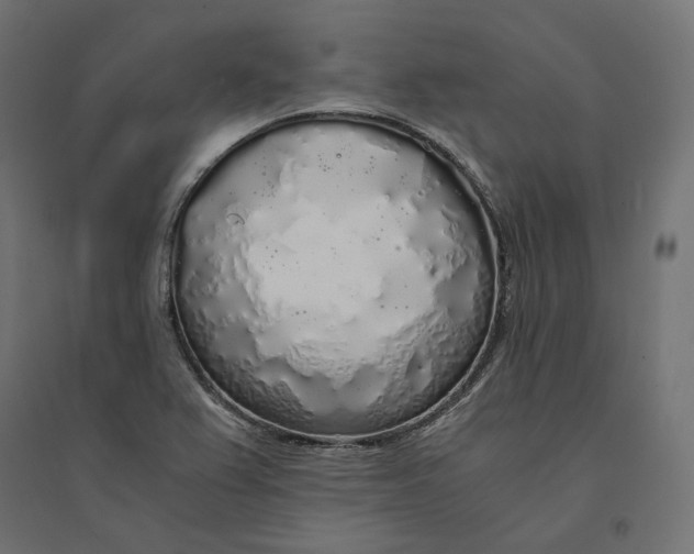 X0000094361367200711241928