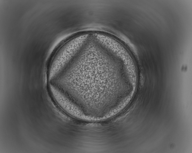 X0000094361368200711241928