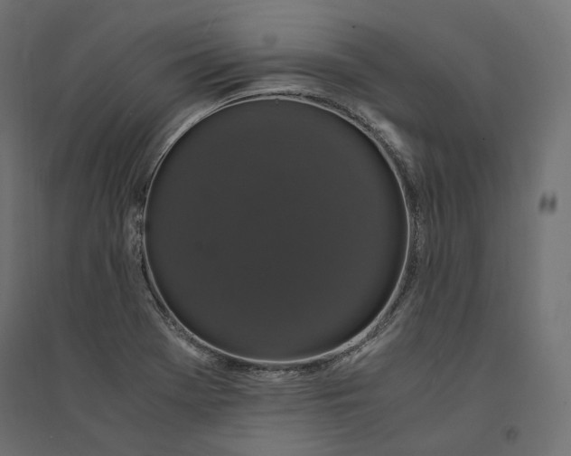 X0000094361369200711241928