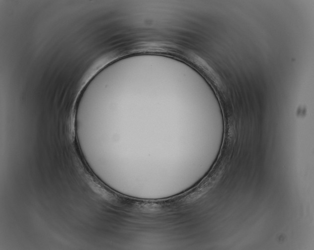 X0000094361370200711241928