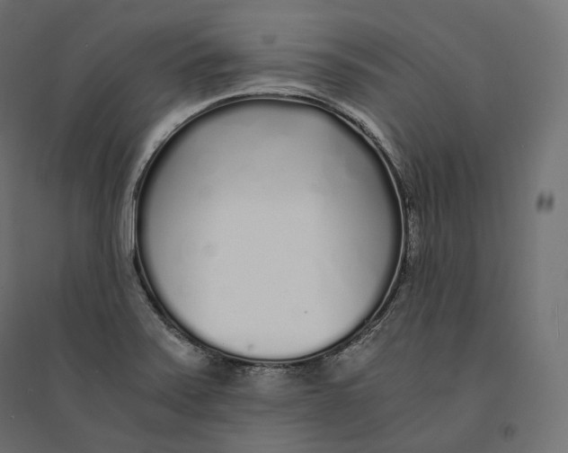 X0000094361371200711241928