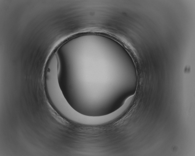 X0000094361372200711241928