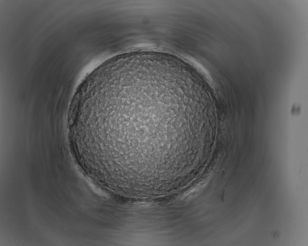 X0000094361373200711241928