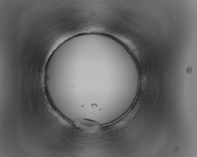 X0000094361374200711241928