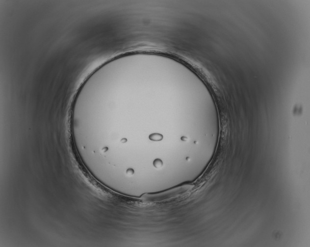 X0000094361375200711241928