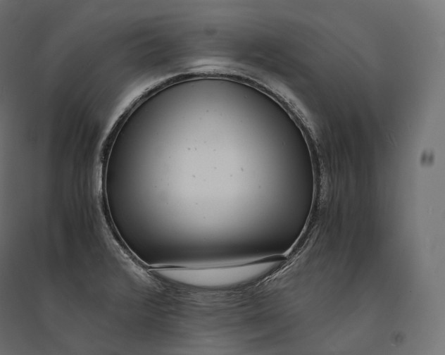 X0000094361376200711241928