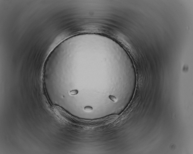 X0000094361378200711241928