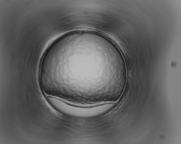 X0000094361379200711241928