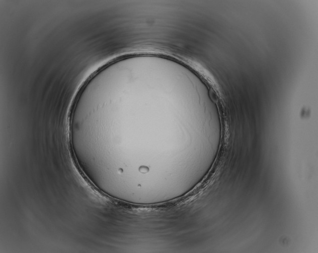 X0000094361380200711241928