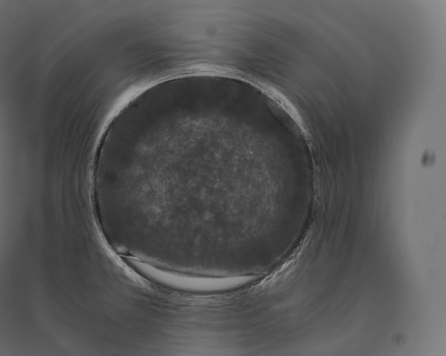 X0000094361381200711241928