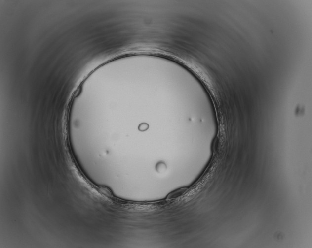 X0000094361382200711241928