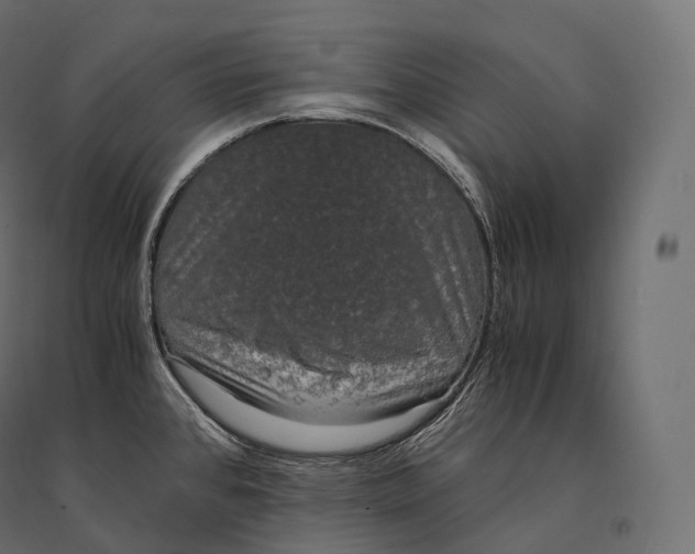 X0000094361384200711241927