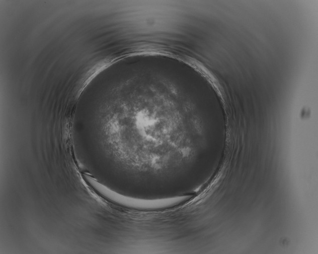 X0000094361385200711241927