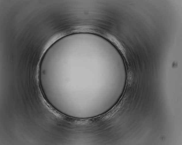 X0000094361386200711241927