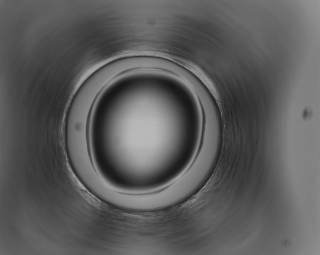 X0000094361388200711241927