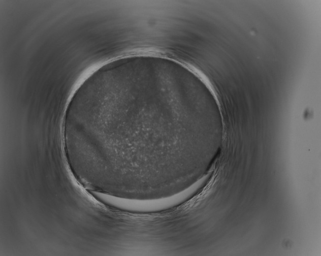 X0000094361389200711241927