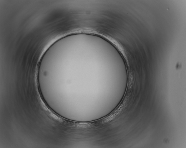 X0000094361390200711241927