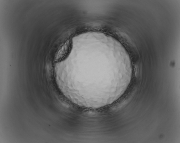 X0000094361395200711241927