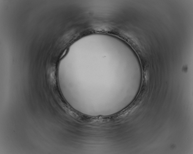 X0000094361396200711241927