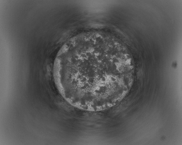 X0000094361397200711241927