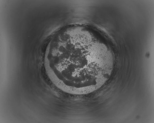 X0000094361399200711241927