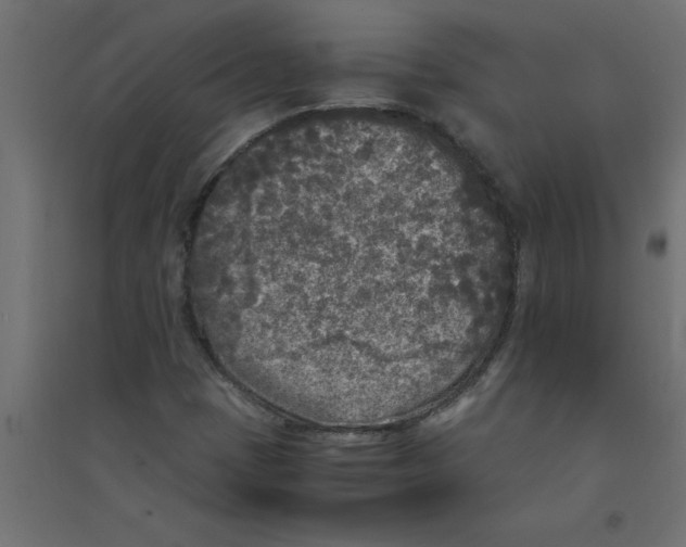 X0000094361401200711241927