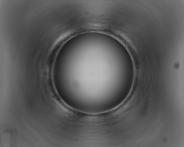 X0000094361402200711241927