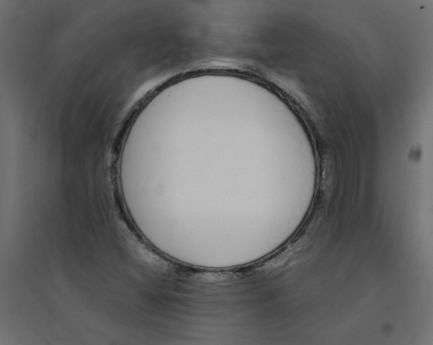 X0000094361404200711241927