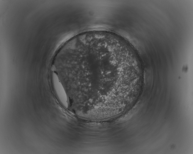 X0000094361405200711241927